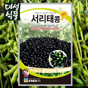 서리태 콩 30g 씨앗 씨 봄 종자 채소 야채 대성식물